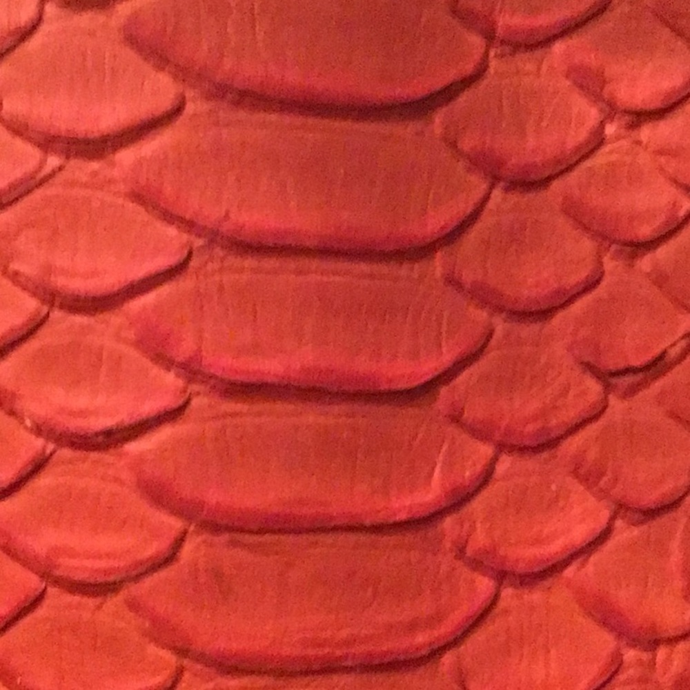 Dooney & Bourke Python Satchel - image 2